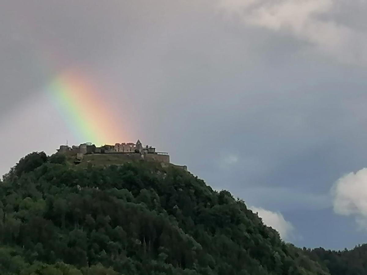 Ferienhaus Burgblick Treffen Buitenkant foto